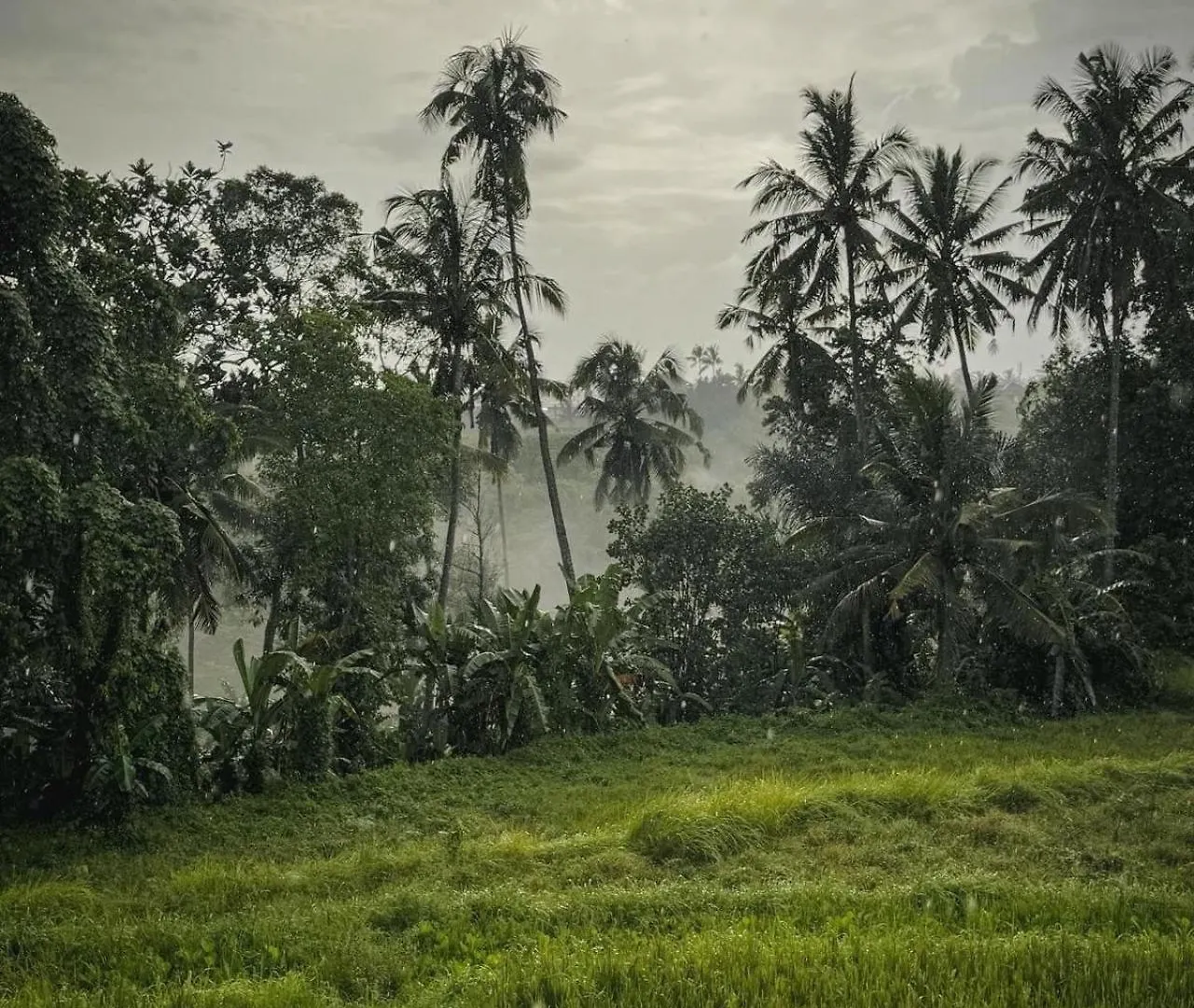Nirwa Ubud Karma 2*, Убуд